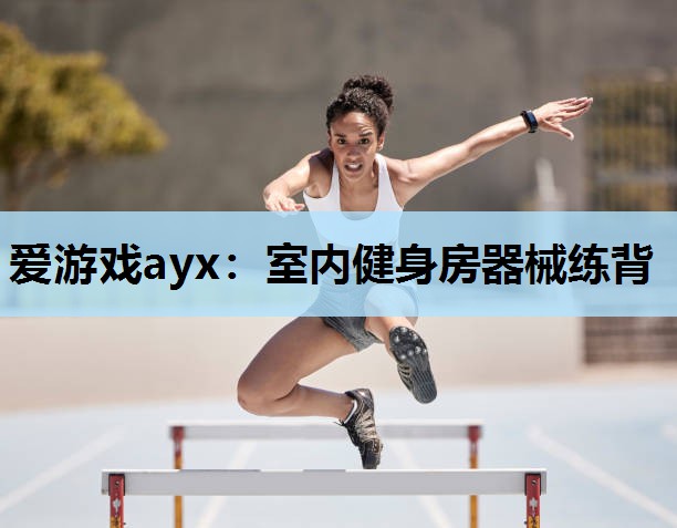 爱游戏ayx：室内健身房器械练背