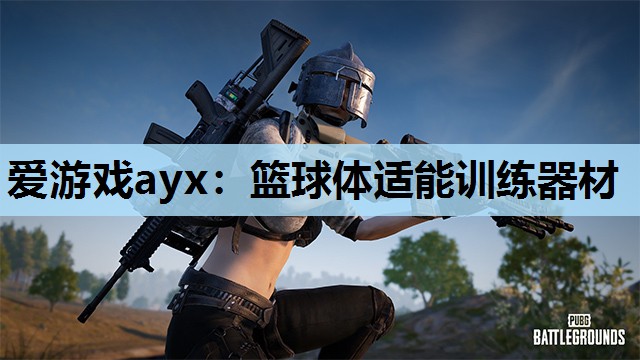 爱游戏ayx：篮球体适能训练器材