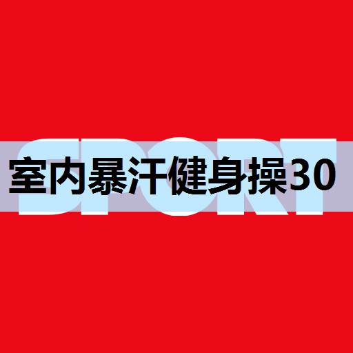 室内暴汗健身操30