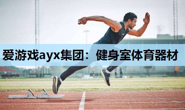 爱游戏ayx集团：健身室体育器材