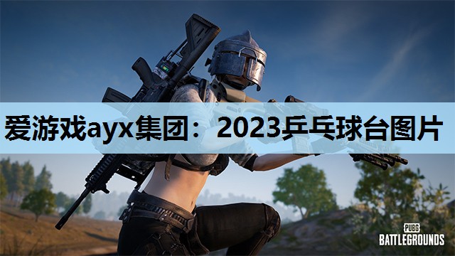 爱游戏ayx集团：2023乒乓球台图片