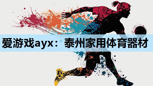 爱游戏ayx：泰州家用体育器材