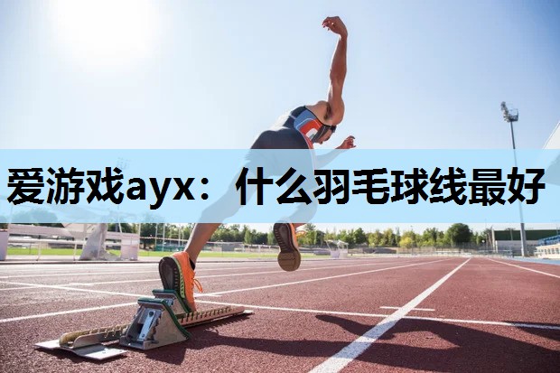 爱游戏ayx：什么羽毛球线最好