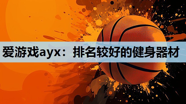 爱游戏ayx：排名较好的健身器材