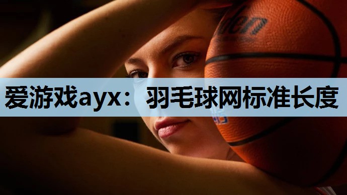 爱游戏ayx：羽毛球网标准长度