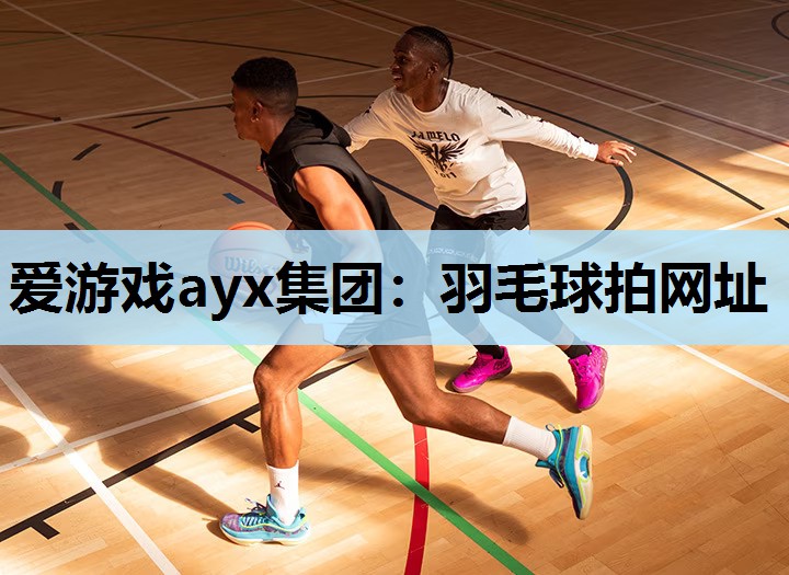 爱游戏ayx集团：羽毛球拍网址